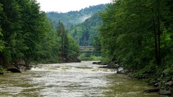 Yaremche Mountain River The