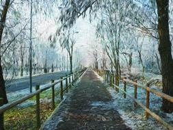 wood tree nature trail