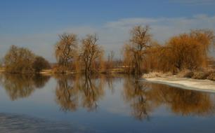 Willow Reflection Water
