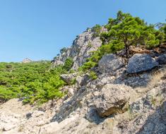 Nature Stone Landscape