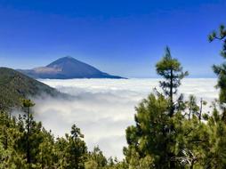 Teide Landscape Peak