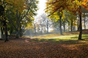 Autumn Hike Tuttlingen Honing