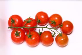 branch of juicy little tomatoes