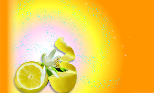 Drink Wallpaper Fruit