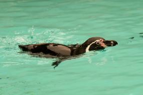 Monolithic Part Of The Waters