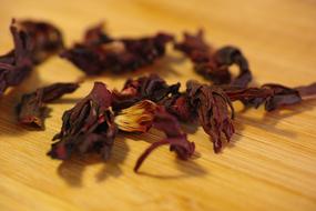 Dried Up Macro Flower