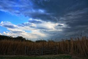 dry grass field against a blue sky