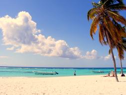 Palm Beach