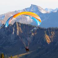 Austria Vorarlberg Bezau Special