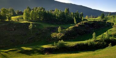 Countryside Summer Nature