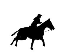 texture riders horses horse cowboy