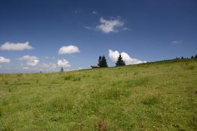 Meadow Landscape Nature