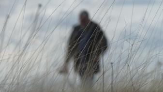 strolling man in a field
