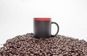 hot coffee beans with a cup