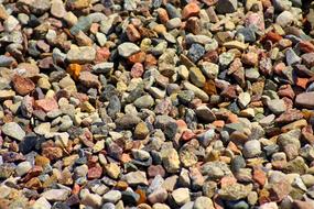 Pebbles Colorful Texture Colored