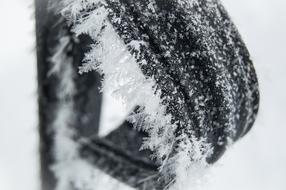 Winter Snow Nature