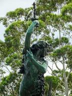 Nature Tree Tropical