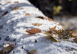 Nature Cold Outdoors