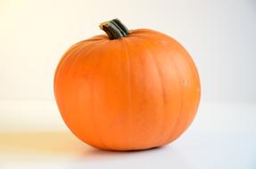 Beautiful ripe pumpkin