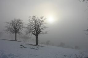 Sun Winter Snow