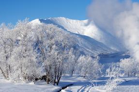 Mountains Forest Winter