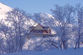 big house in the winter woods