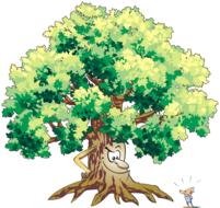 tree trees forest vegetation adobe