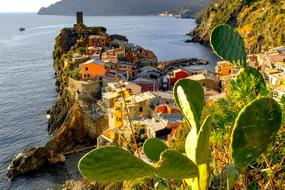 Cinque Terre Vernazza Village
