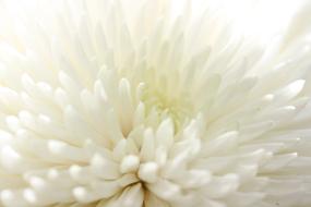 Nature Background No One