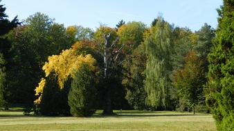 Vrchlabi Castle Park Autumn