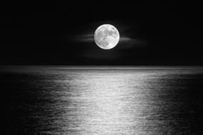 big moon in a beautiful black sky landscape