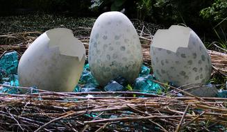 Nature Nest Egg