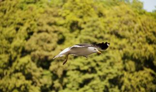 Nature Outdoors Water