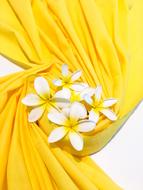 yellow curtain with white flowers