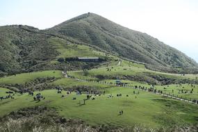 Nature Landscape Hill