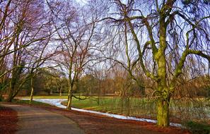Landscape Footpath Trees Bare
