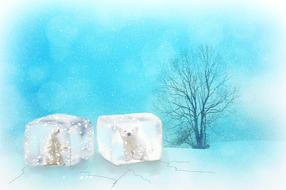 climate global warming environment