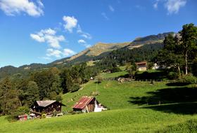 green meadow houses village
