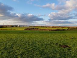Field Park