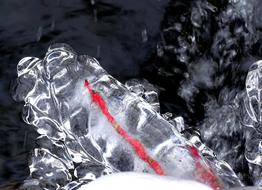 ice in red ribbon