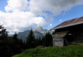 Nature France Alps