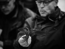 senior man feeding small bird from hand