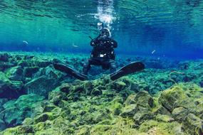 Underwater A Journey Of Discovery