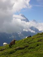 Nature Outdoor Landscape The Dome