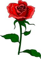 rose vintage clip art red design