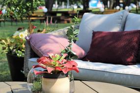 Relaxation Armchairs Zagreb
