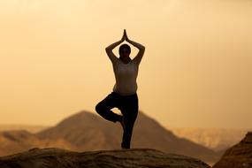 yoga girls in the desert backdrop