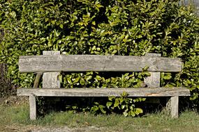 Tranquility Base Wooden Bench Bank