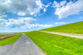 Dutch Dike Green