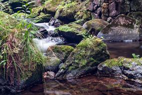 Waters Nature River Rock